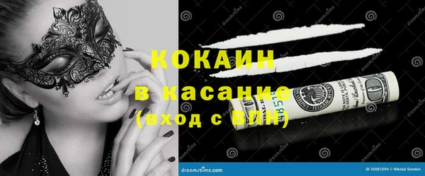 индика Арсеньев