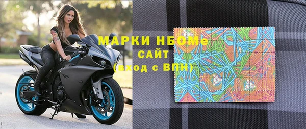 индика Арсеньев