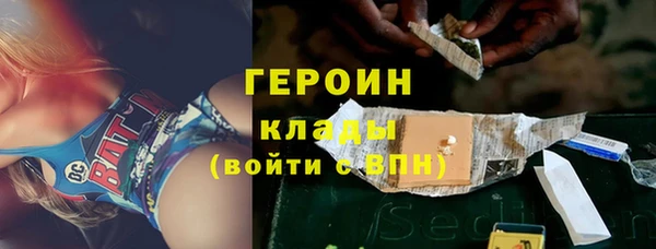 индика Арсеньев