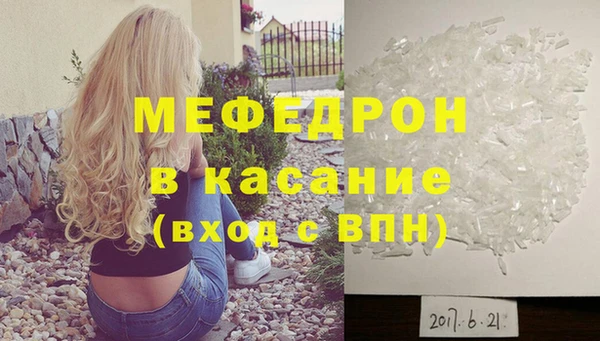индика Арсеньев