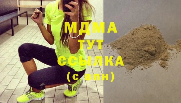 индика Арсеньев