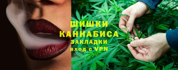 индика Арсеньев