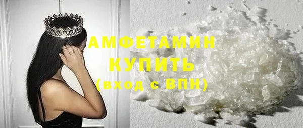 индика Арсеньев